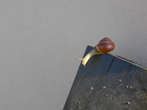 DSCN0059_